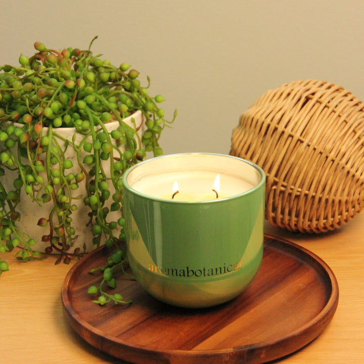 Irises 310g Candle
