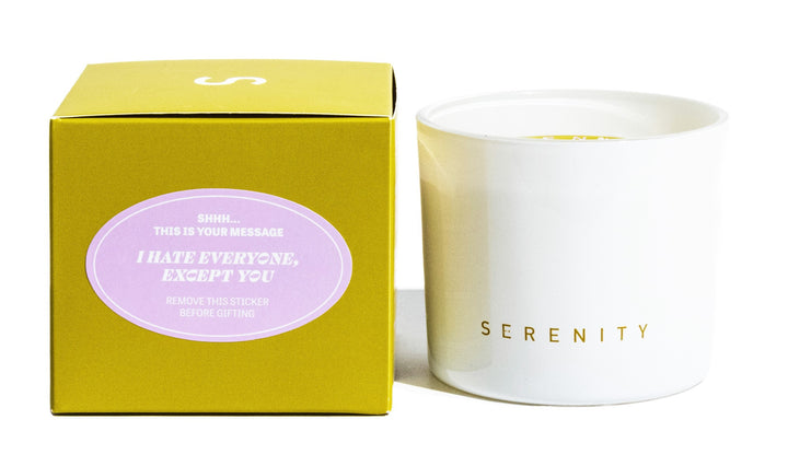 I Hate Everyone, Except You