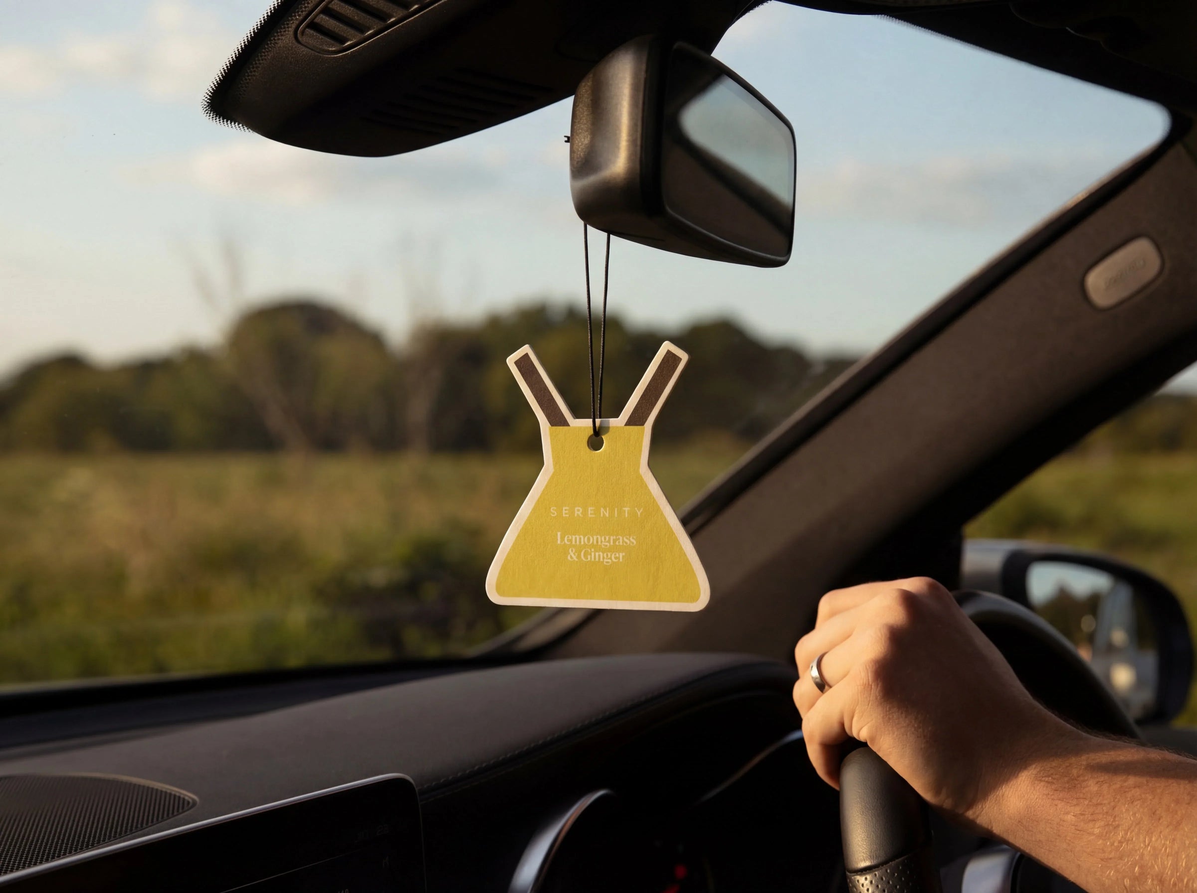 VIVID Air Freshener