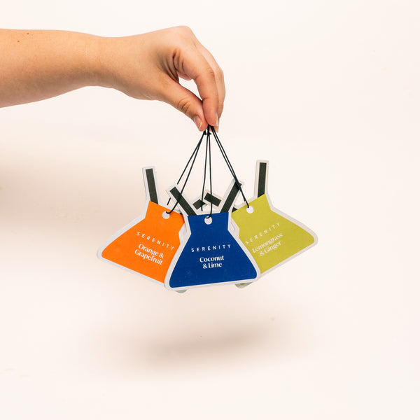 Air Freshener Fresh Bundle
