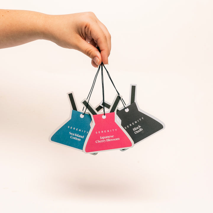 Air Freshener Soft Bundle